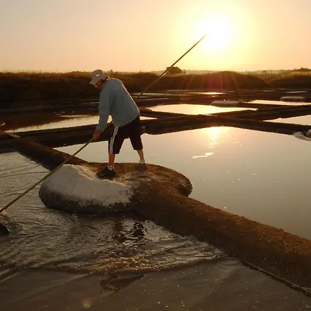 Holiday home Avec Jardin Clos Au Coeur Du Parc De Briere, Proche La Baule Et Guerande - Fr-1-306-863 La Chapelle-des-Marais
