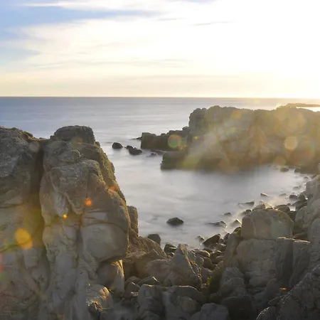 Avec Jardin Clos Au Coeur Du Parc De Briere, Proche La Baule Et Guerande - Fr-1-306-863 *