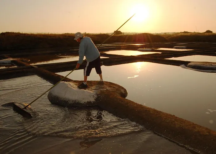 بيت للعطل Avec Jardin Clos Au Coeur Du Parc De Briere, Proche La Baule Et Guerande - Fr-1-306-863 La Chapelle-des-Marais